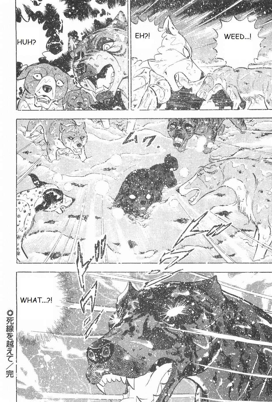 Page 23 Chapter 247 Ginga Densetsu Weed