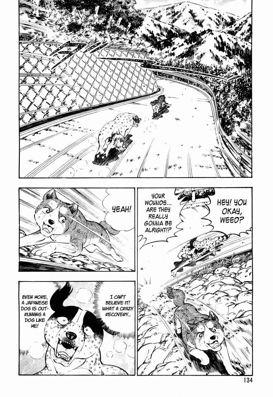Page 3 Chapter 27 Ginga Densetsu Weed