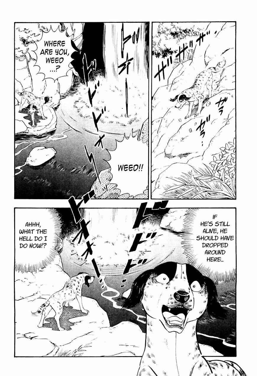 Page 15 Chapter 15 Ginga Densetsu Weed