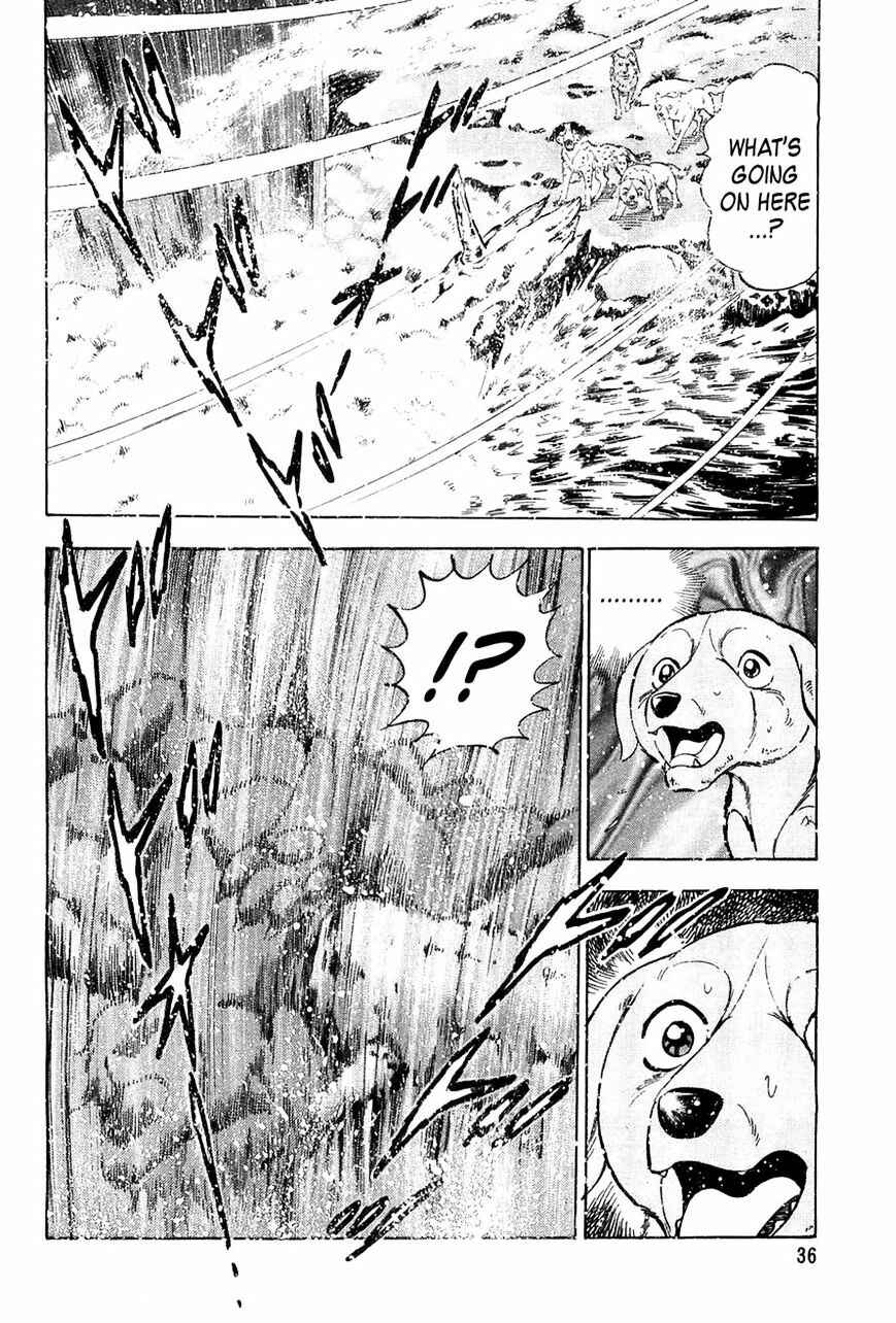 Page 10 Chapter 50 Ginga Densetsu Weed