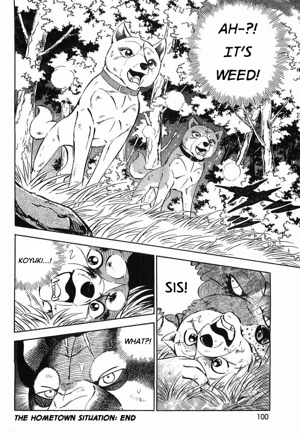 Page 23 Chapter 303 Ginga Densetsu Weed