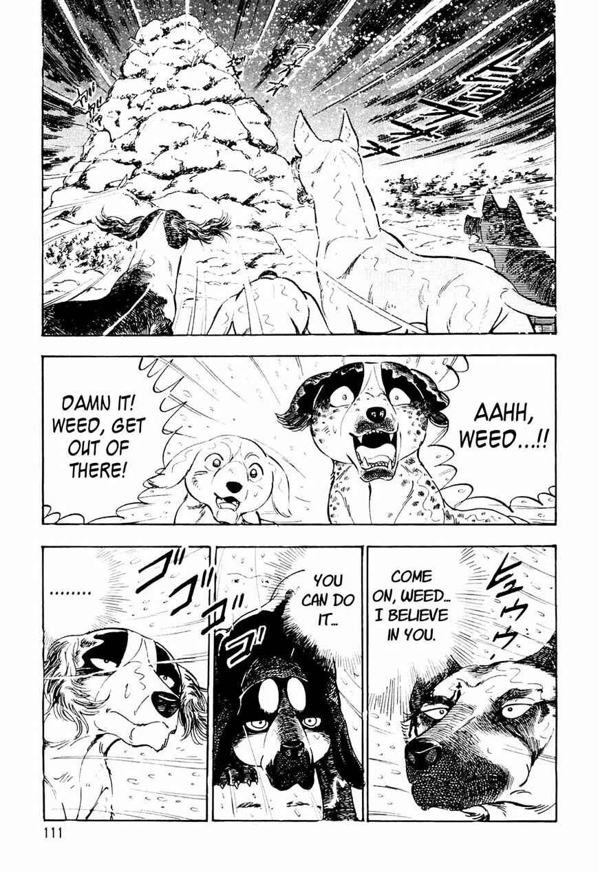 Page 22 Chapter 35 Ginga Densetsu Weed