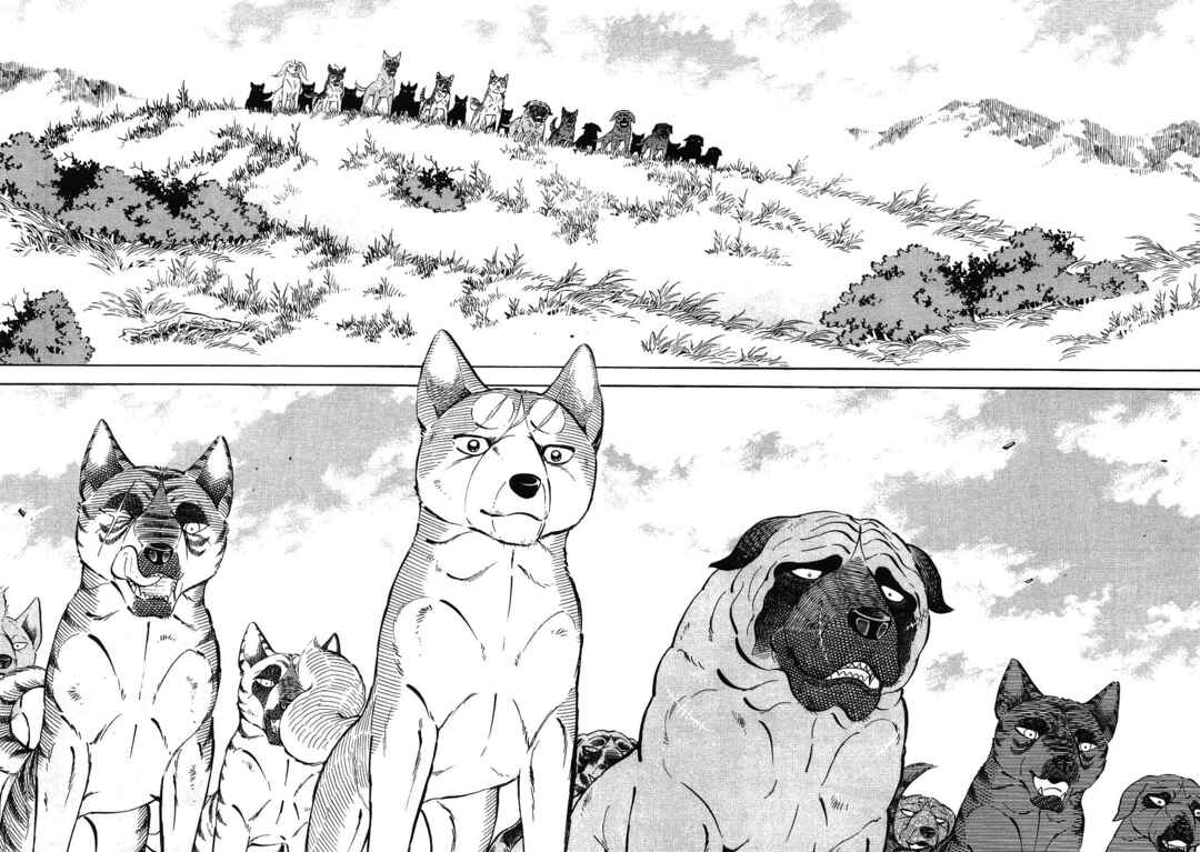 Page 13 Chapter 341 Ginga Densetsu Weed