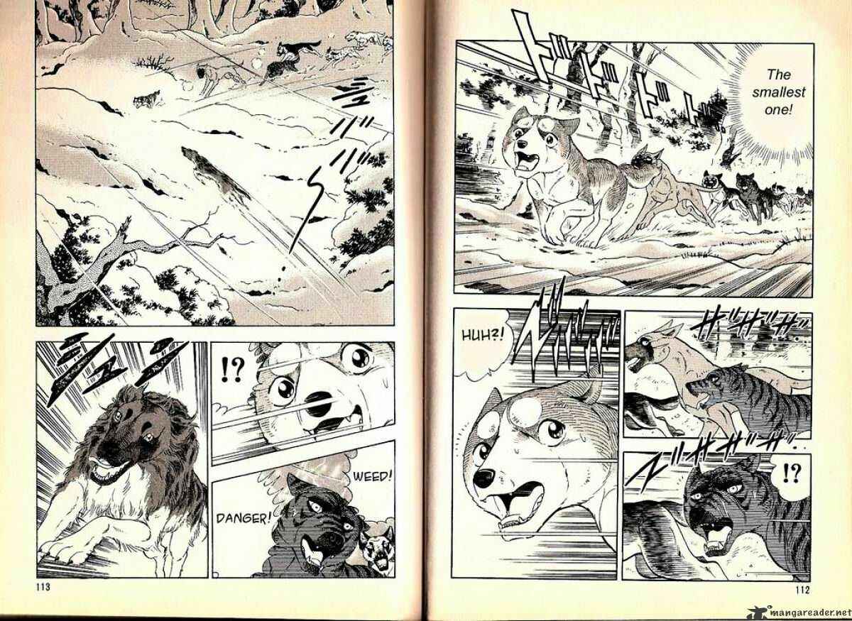 Page 11 Chapter 62 Ginga Densetsu Weed