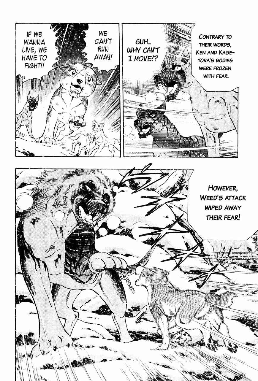 Page 21 Chapter 40 Ginga Densetsu Weed