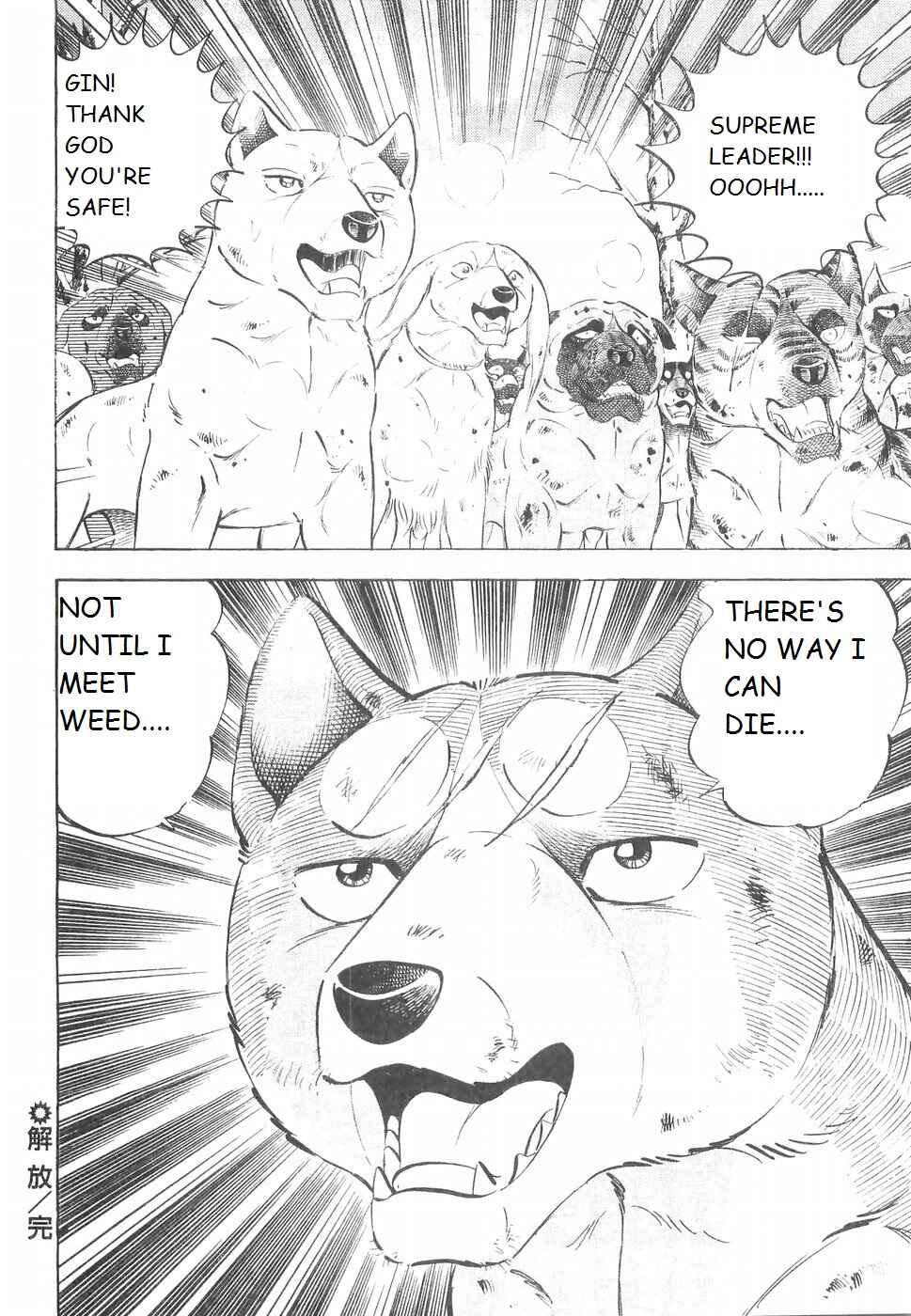 Page 19 Chapter 222 Ginga Densetsu Weed