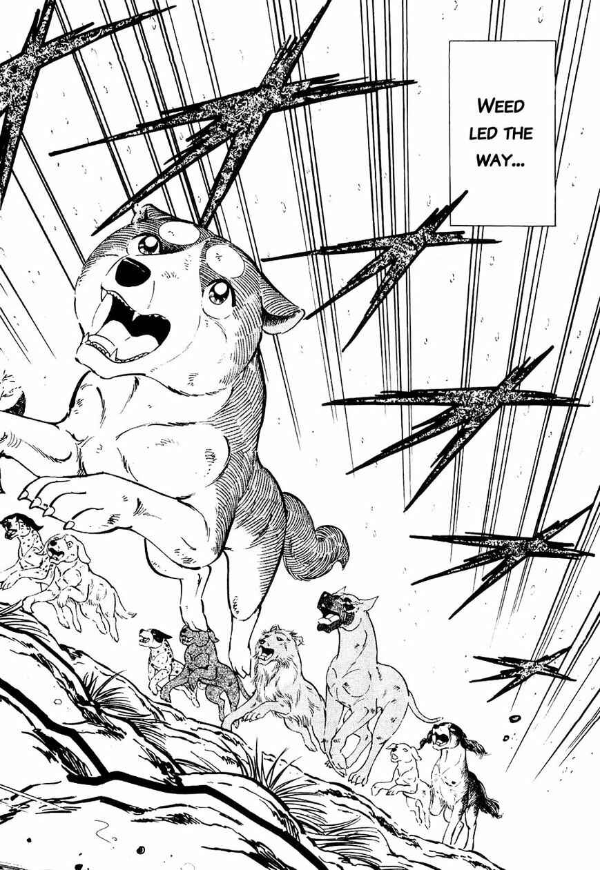 Page 15 Chapter 29 Ginga Densetsu Weed