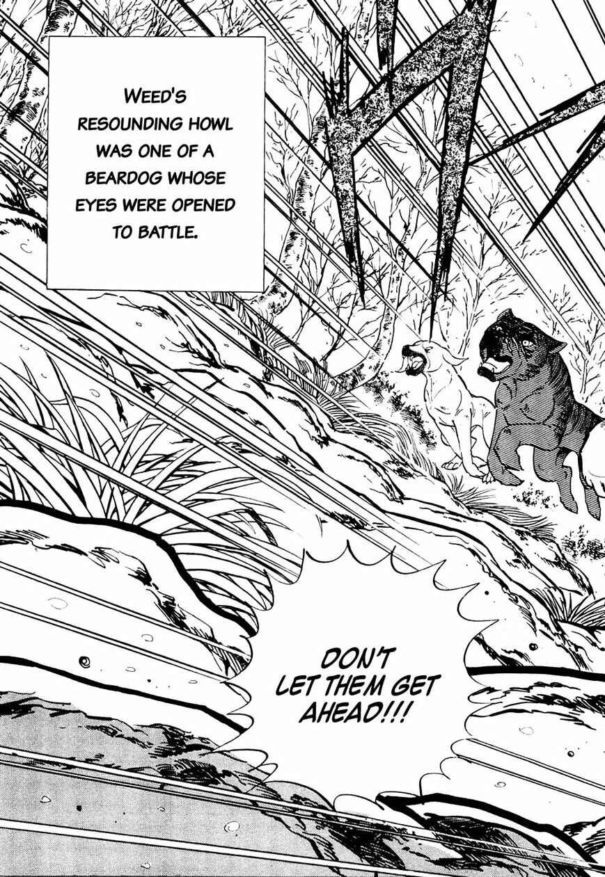 Page 16 Chapter 29 Ginga Densetsu Weed