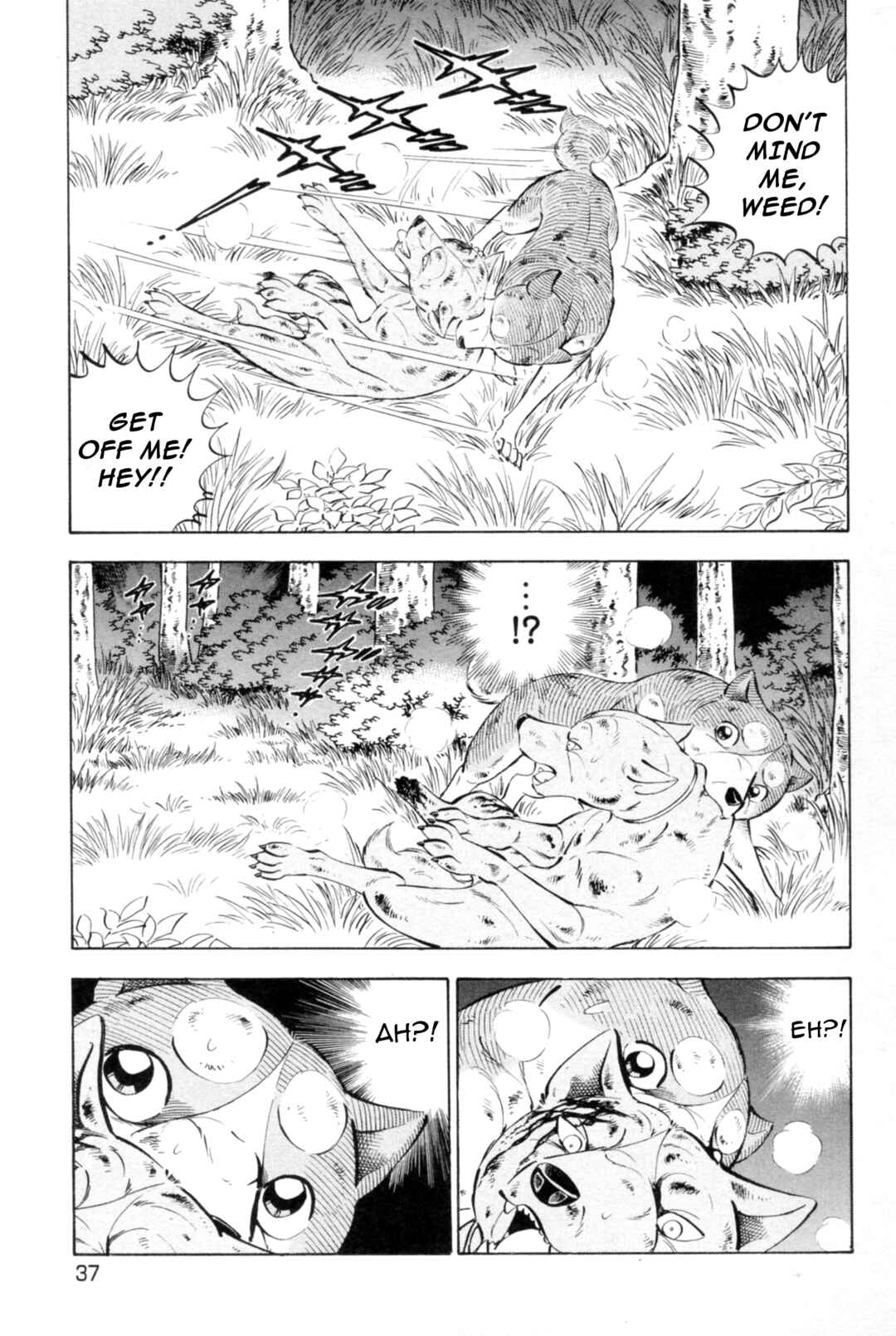 Page 5 Chapter 437 Ginga Densetsu Weed