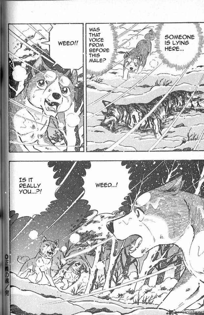 Page 12 Chapter 77 Ginga Densetsu Weed