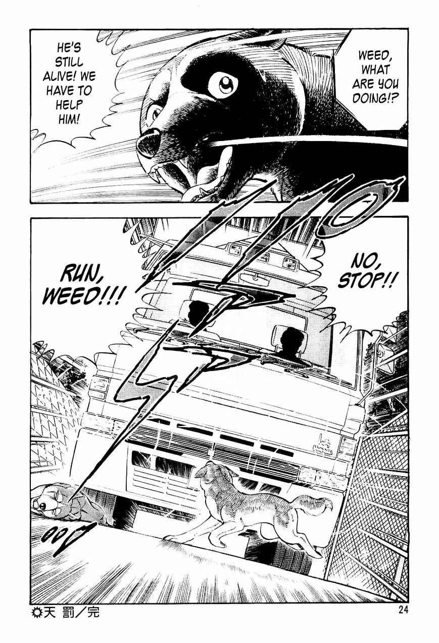 Page 21 Chapter 11 Ginga Densetsu Weed