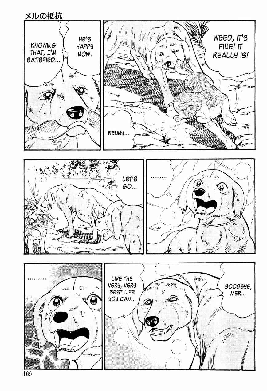 Page 16 Chapter 7 Ginga Densetsu Weed