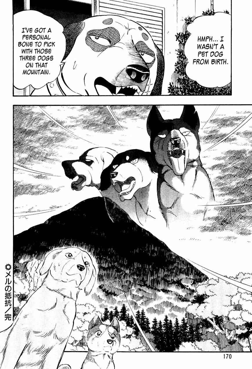 Page 21 Chapter 7 Ginga Densetsu Weed