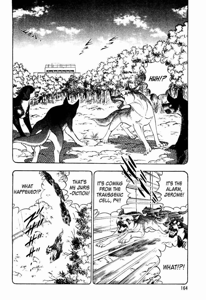 Page 13 Chapter 28 Ginga Densetsu Weed