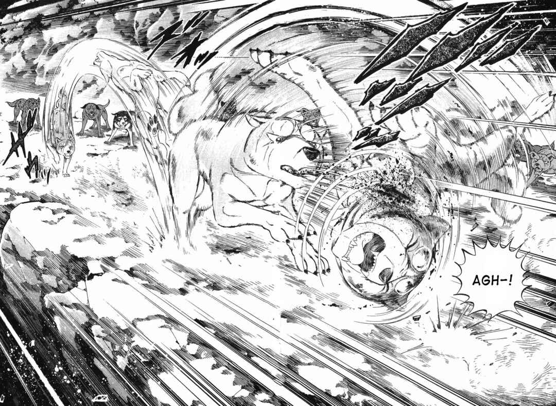 Page 17 Chapter 268 Ginga Densetsu Weed