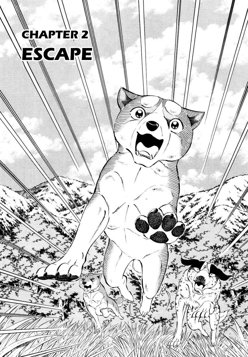 Page 1 Chapter 349 Ginga Densetsu Weed