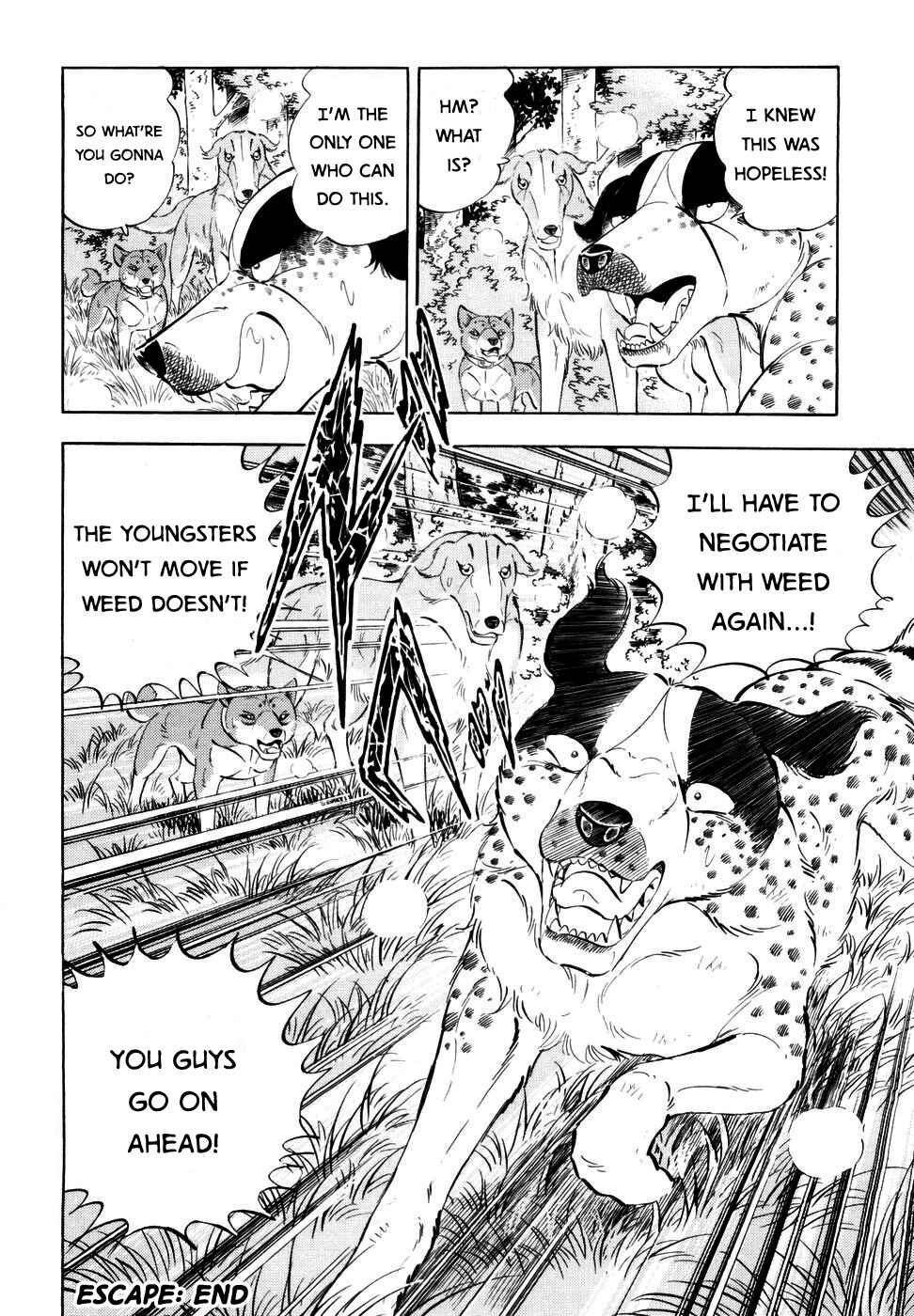 Page 24 Chapter 349 Ginga Densetsu Weed
