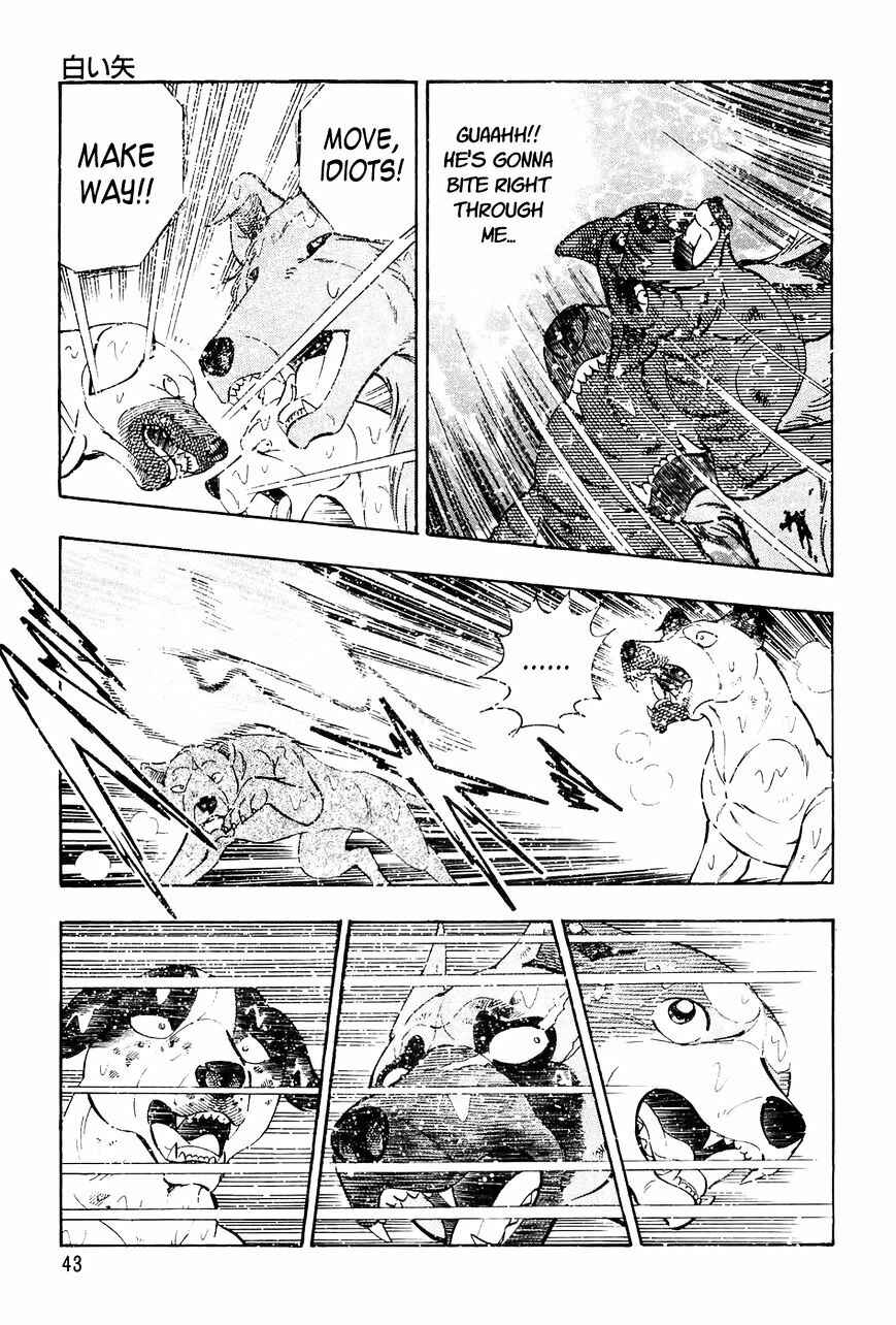 Page 18 Chapter 41 Ginga Densetsu Weed