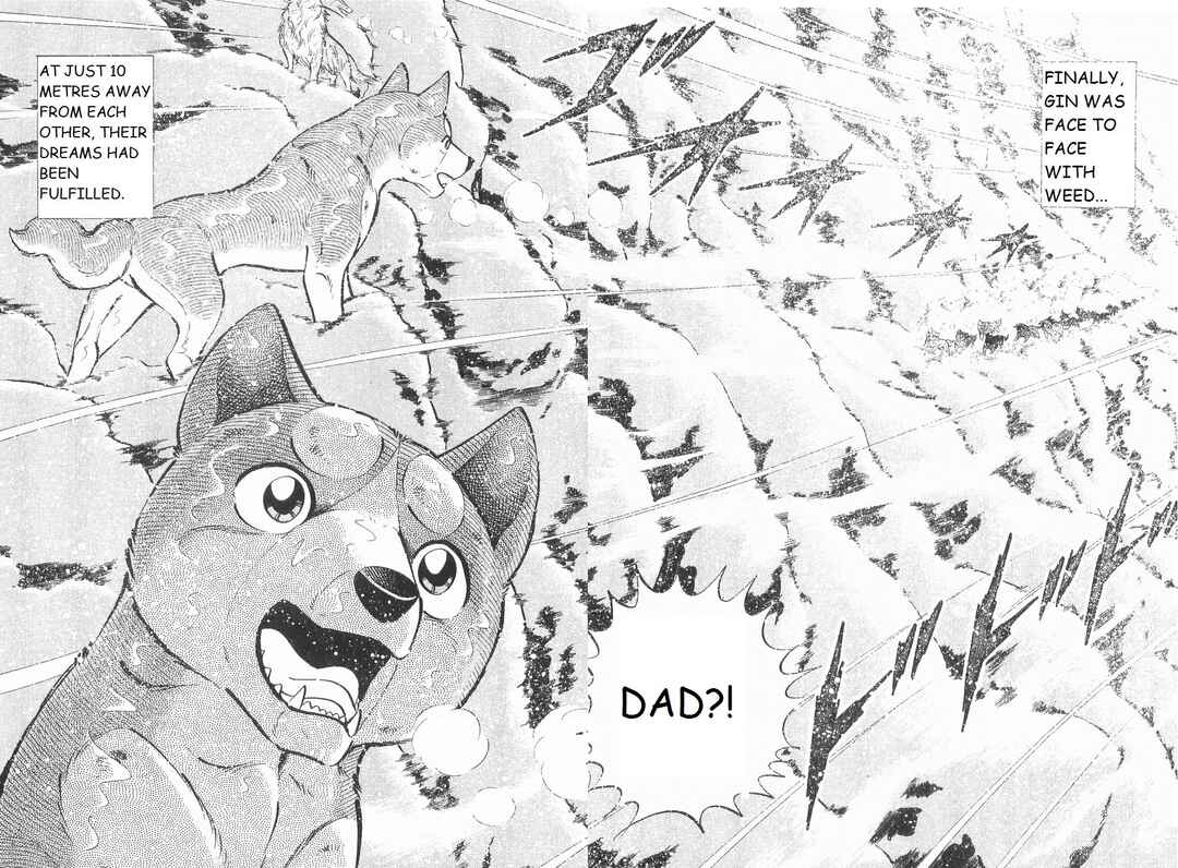 Page 19 Chapter 241 Ginga Densetsu Weed