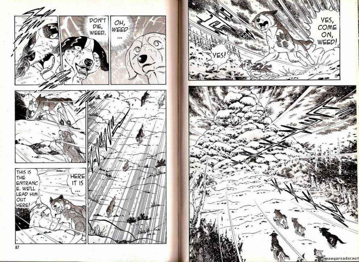 Page 10 Chapter 34 Ginga Densetsu Weed