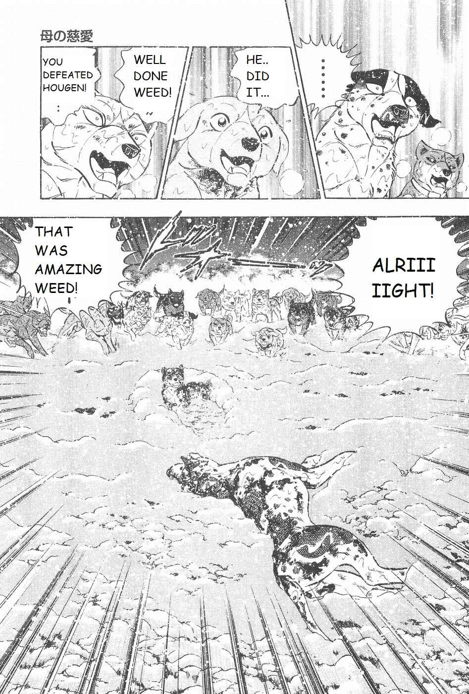 Page 10 Chapter 251 Ginga Densetsu Weed