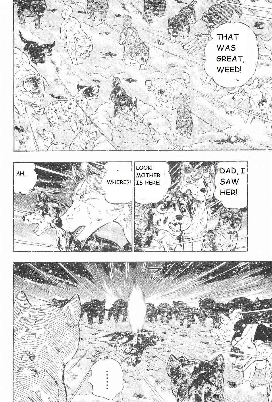 Page 14 Chapter 251 Ginga Densetsu Weed