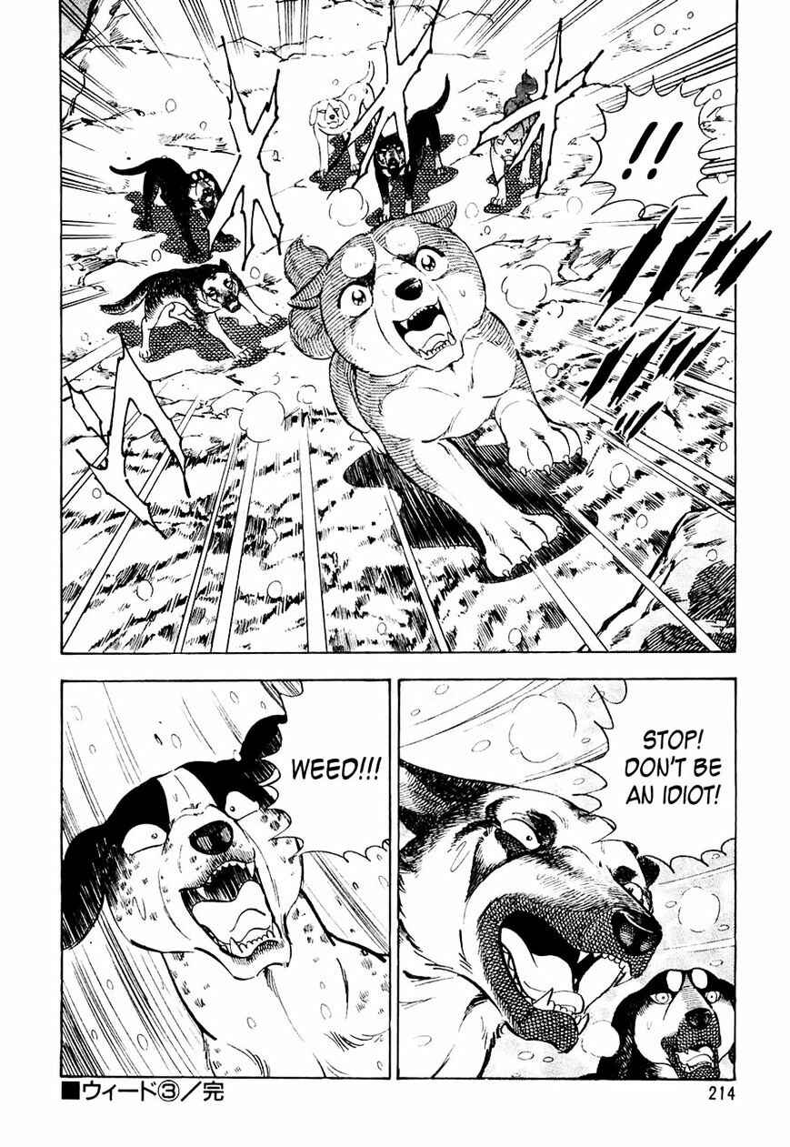 Page 21 Chapter 30 Ginga Densetsu Weed
