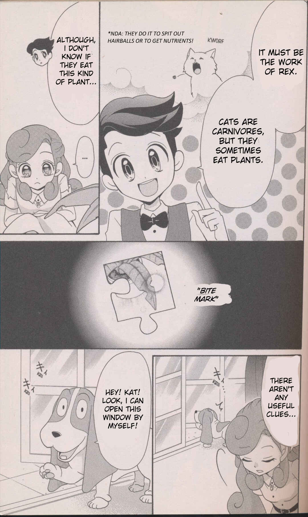 Page 15 Chapter 5 Layton Mystery Detective Agency: Katris Puzzle Solving Files