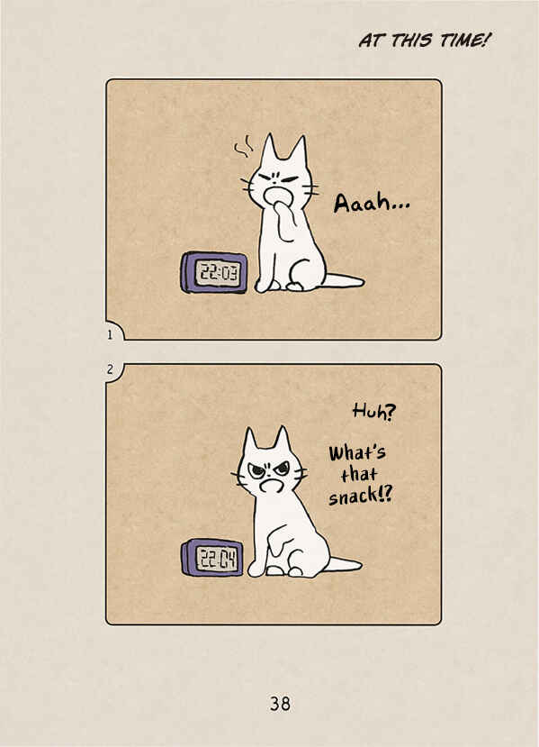 Page 8 Chapter 2 The Chastising Cat