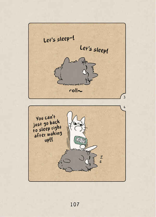 Page 17 Chapter 5 The Chastising Cat