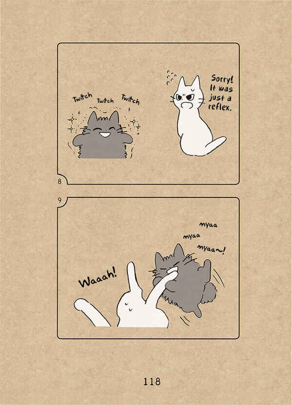 Page 5 Chapter 5.5 The Chastising Cat