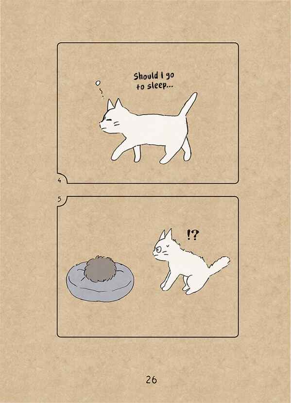 Page 3 Chapter 1.5 The Chastising Cat