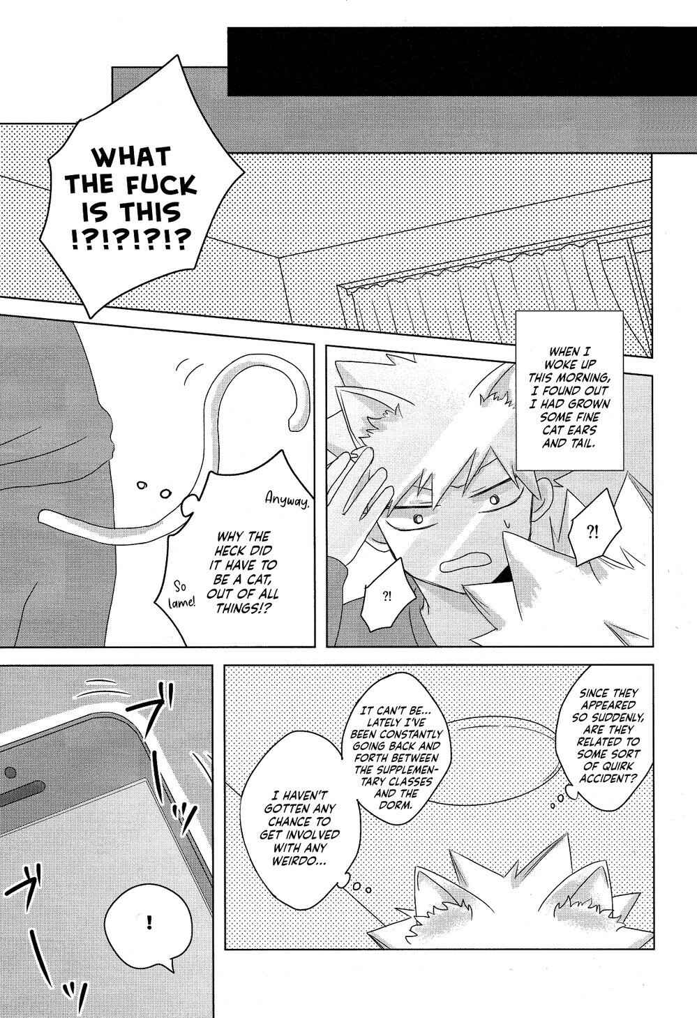 Page 5 Chapter 4 My Hero Academia - Neko Biyori (Doujinshi)