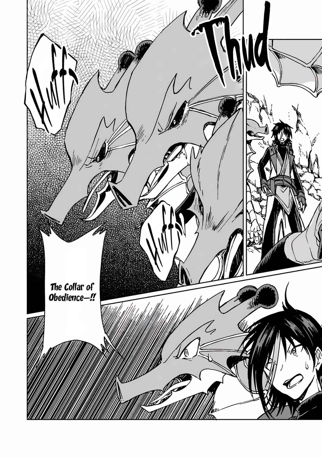 Page 17 Chapter 20 S-kyuu Guild wo Tsuihousareta kedo, Jitsu wa Ore dake Dragon no Kotoba ga Wakaru no de, Kidzuita Toki ni wa Ryuu Kishi no Chouten wo Kiwametemashita.