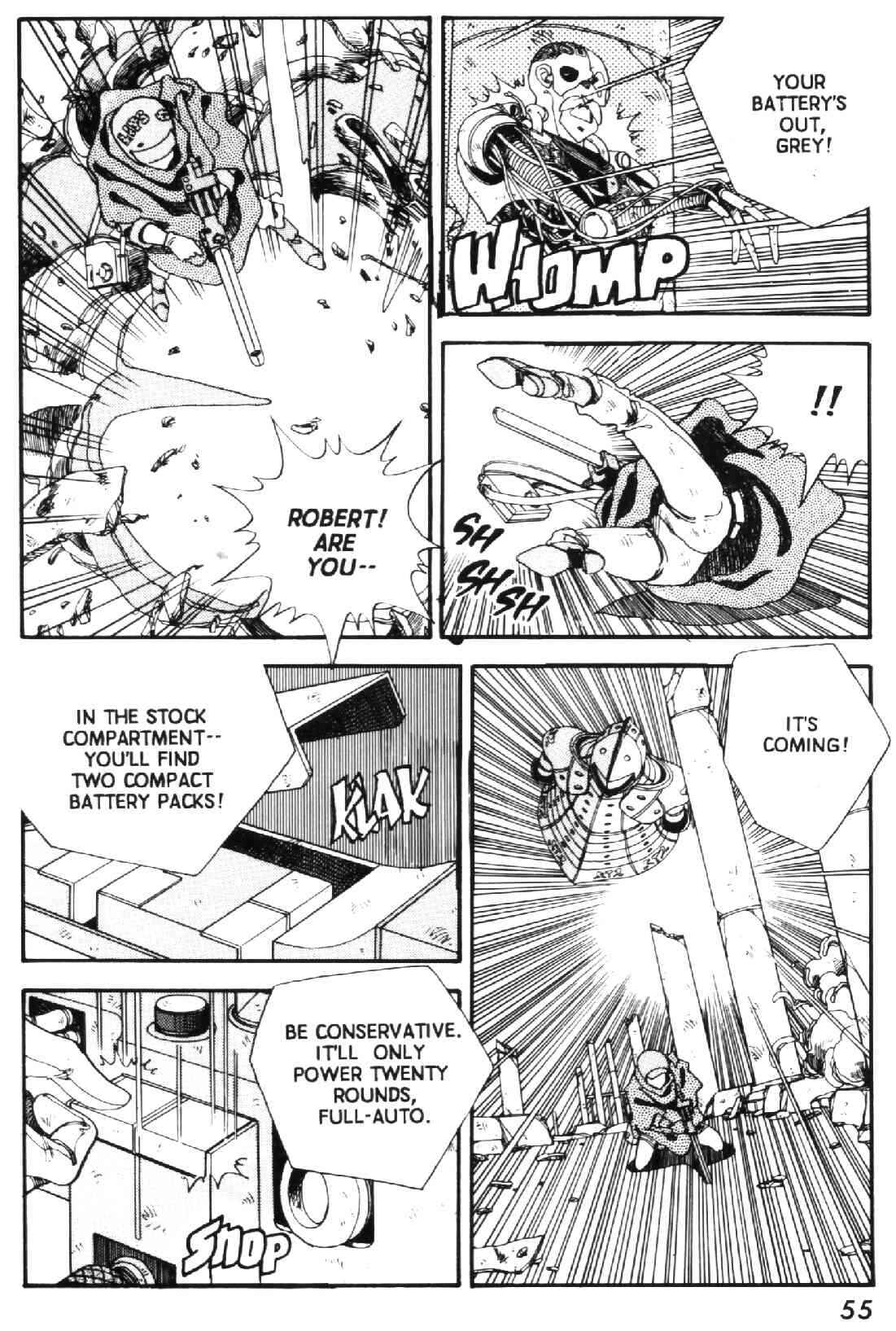 Page 16 Chapter 11 GREY