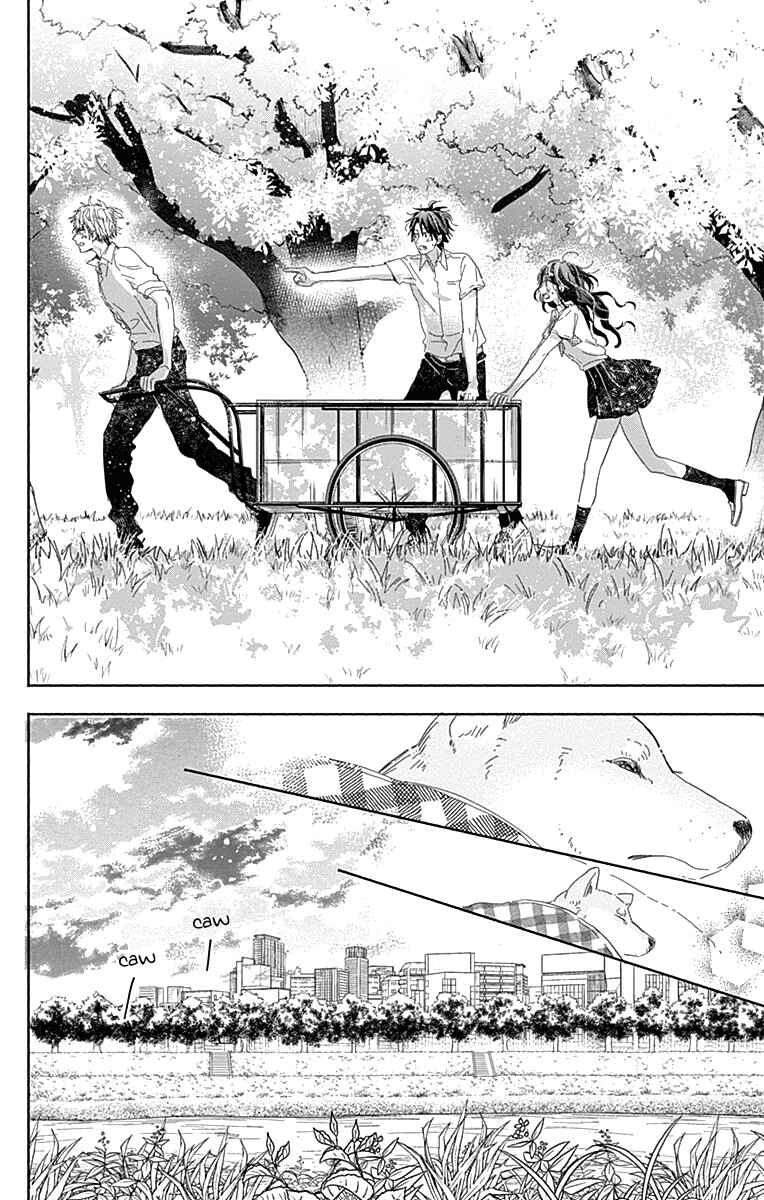 Page 33 Chapter 8 Kimi to Wonderland