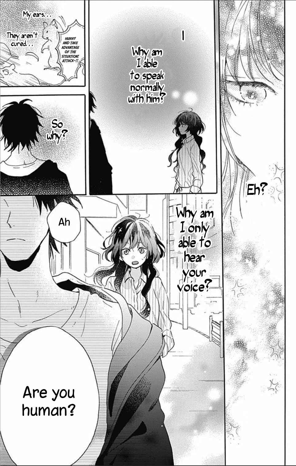 Page 26 Chapter 1.1 Kimi to Wonderland