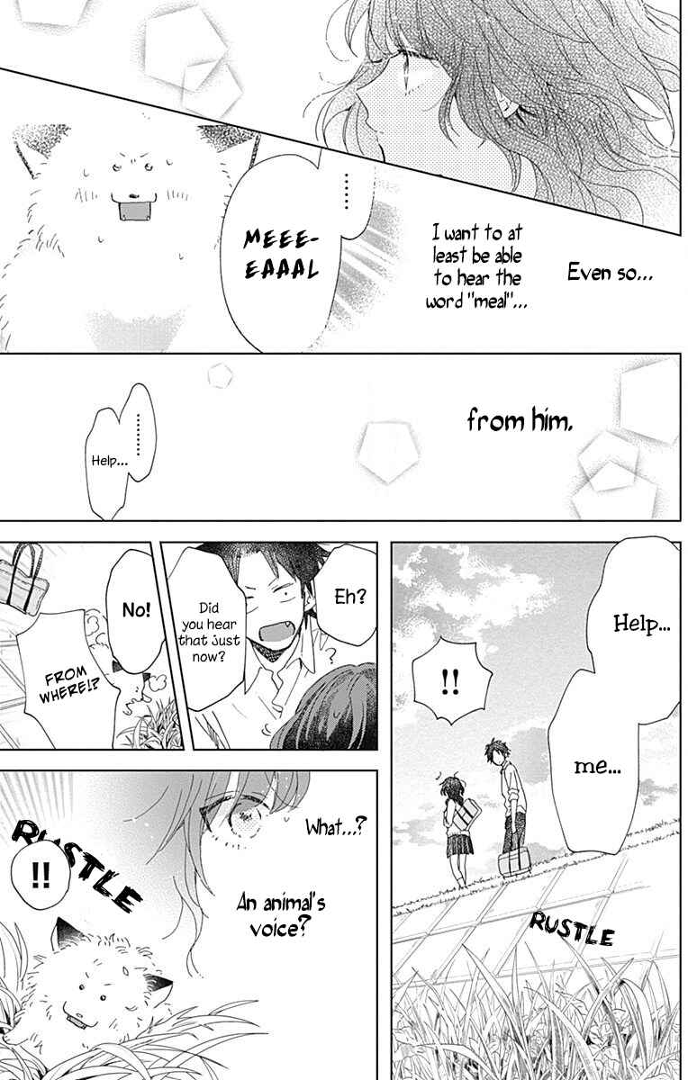 Page 27 Chapter 4 Kimi to Wonderland