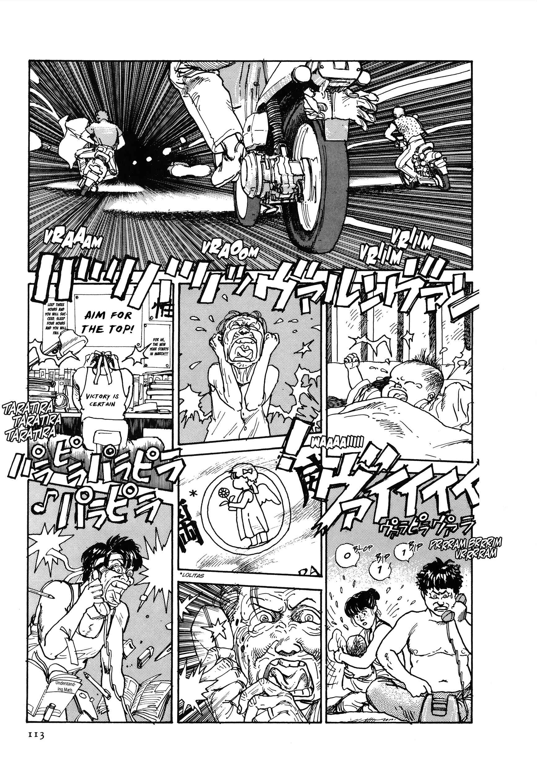 Page 10 Chapter 3 The Sultans Guard
