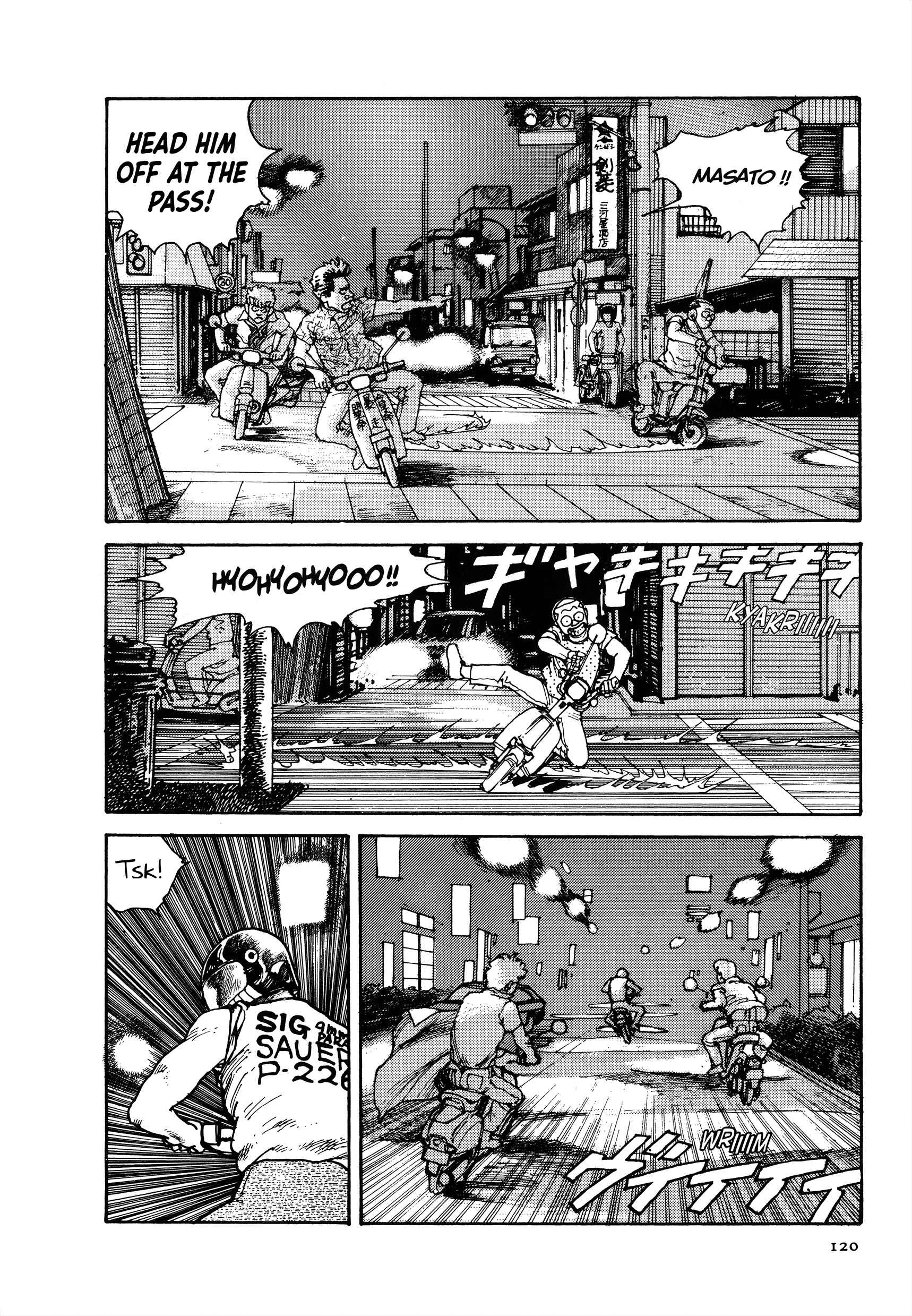 Page 17 Chapter 3 The Sultans Guard